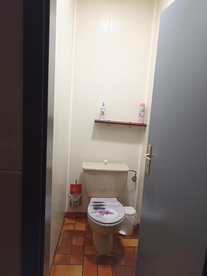Appartement Avec Balcon Hargarten-aux-Mines Zewnętrze zdjęcie